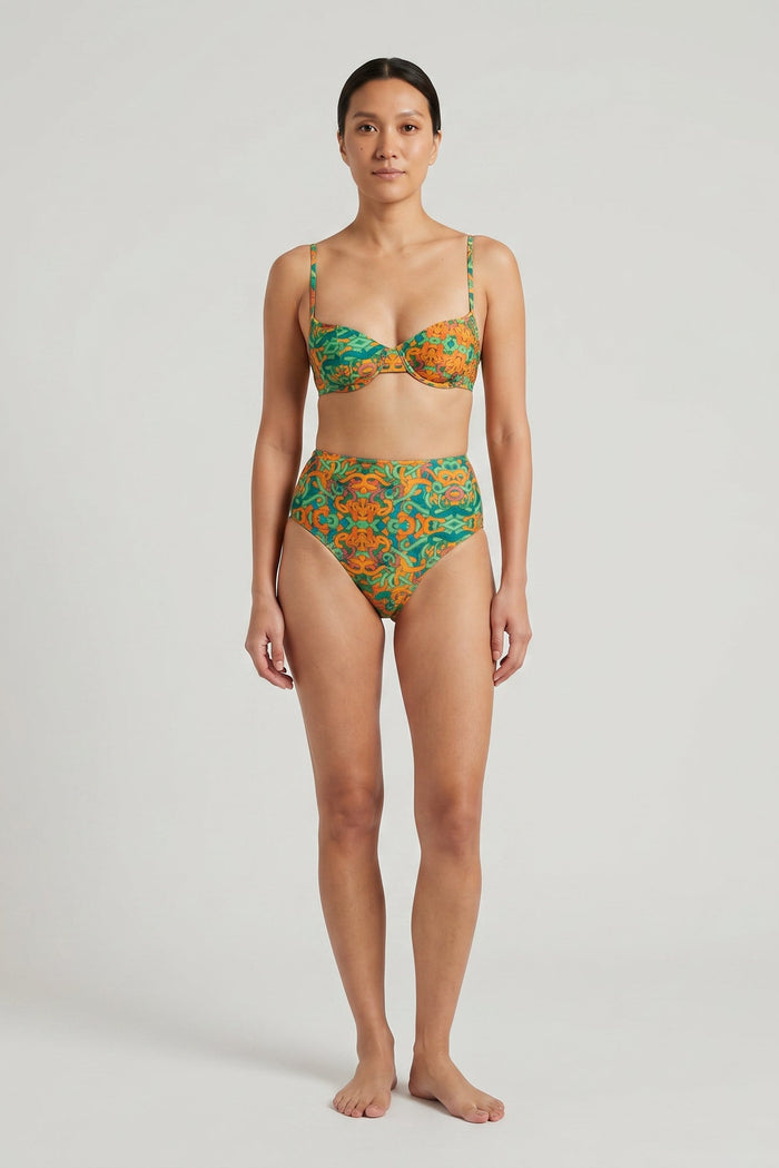 High-Waisted Snakes Print Bikini Set
